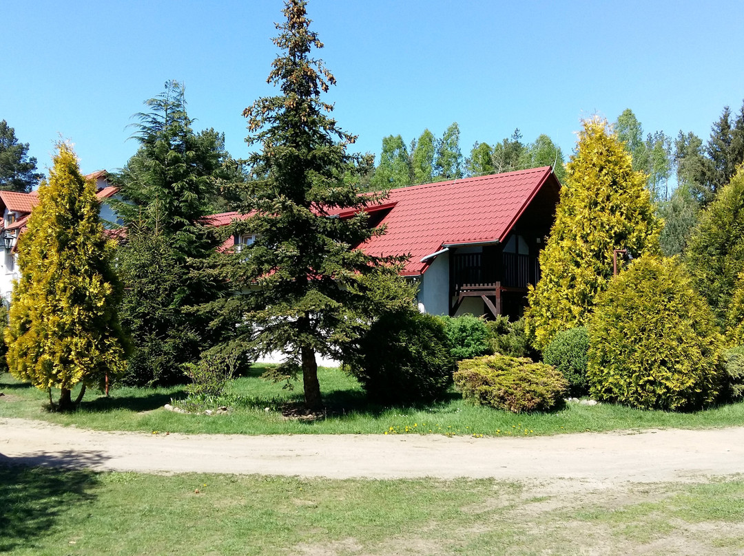 Agroturystyka Pod Klonem