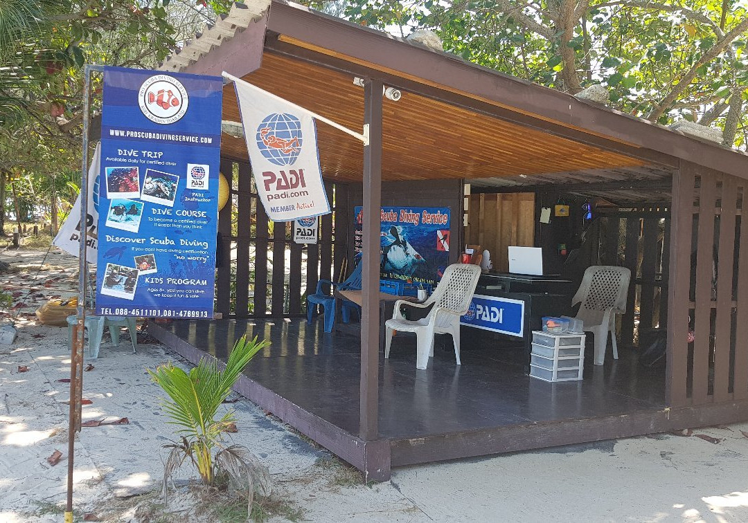 Pro Scuba Diving Service-克雷登岛必去景点