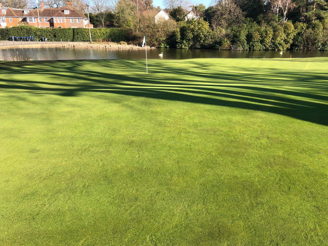 Woking Golf Club景点图片