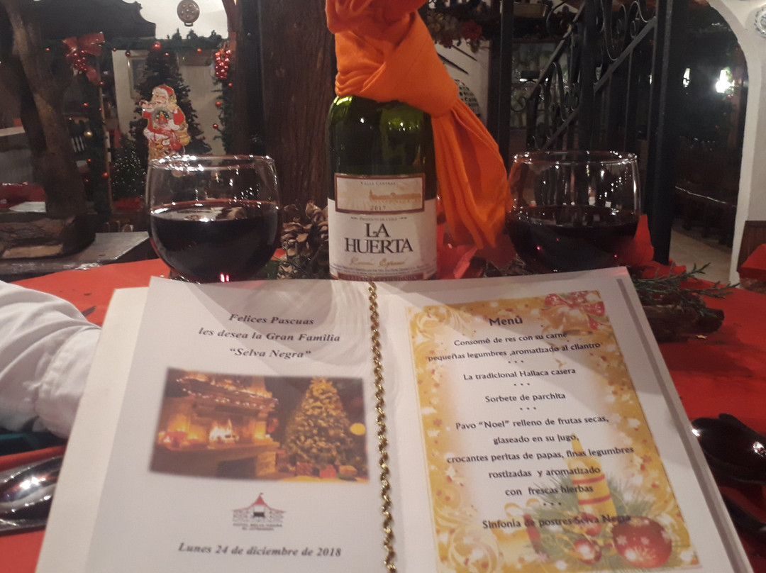 Hotel Selva Negra主图