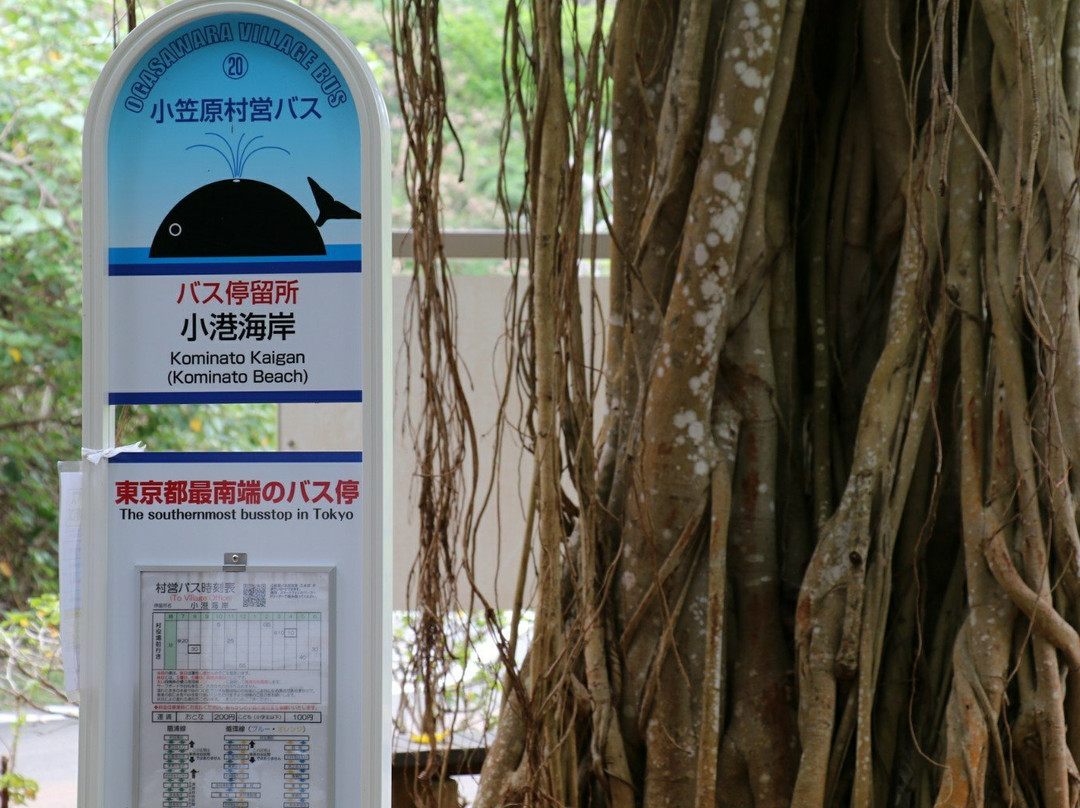 Todo Sainantan-Haha-jima必去景点