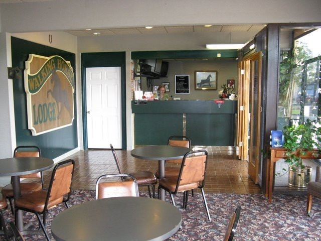 Walking Horse Lodge主图