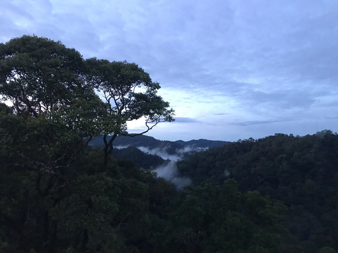 Ulu Ulu National Park Resort景点图片