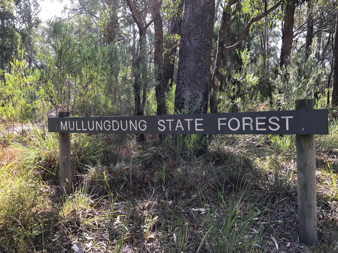 Won Wron旅游攻略图片