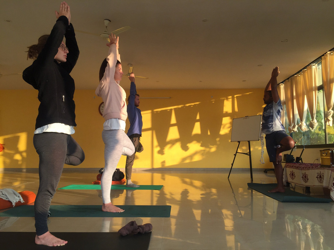 Shiva Tattva Yoga School景点图片