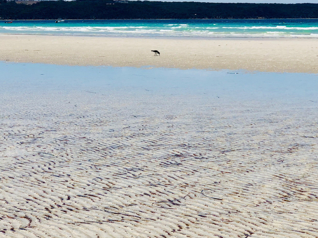 Island Beach-袋鼠岛必去景点