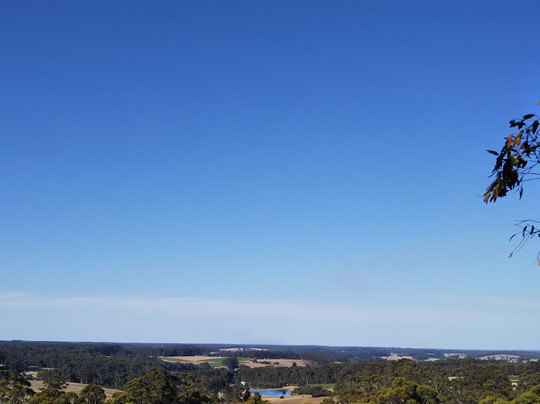 Diamond Tree-Manjimup必去景点