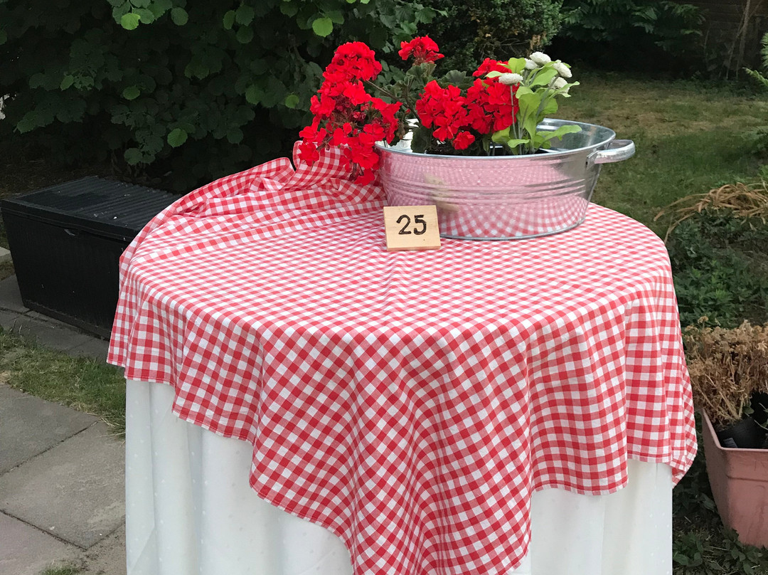 Elbhotel Bleckede主图