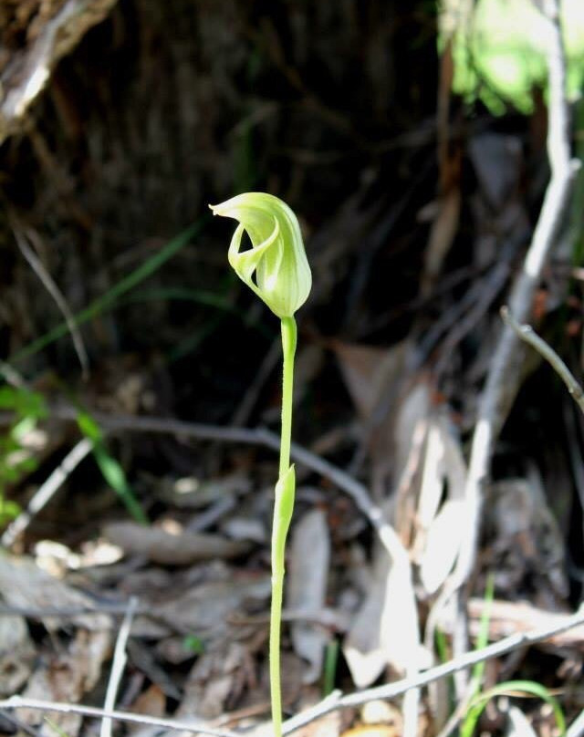 Benambra National Park-Culcairn必去景点