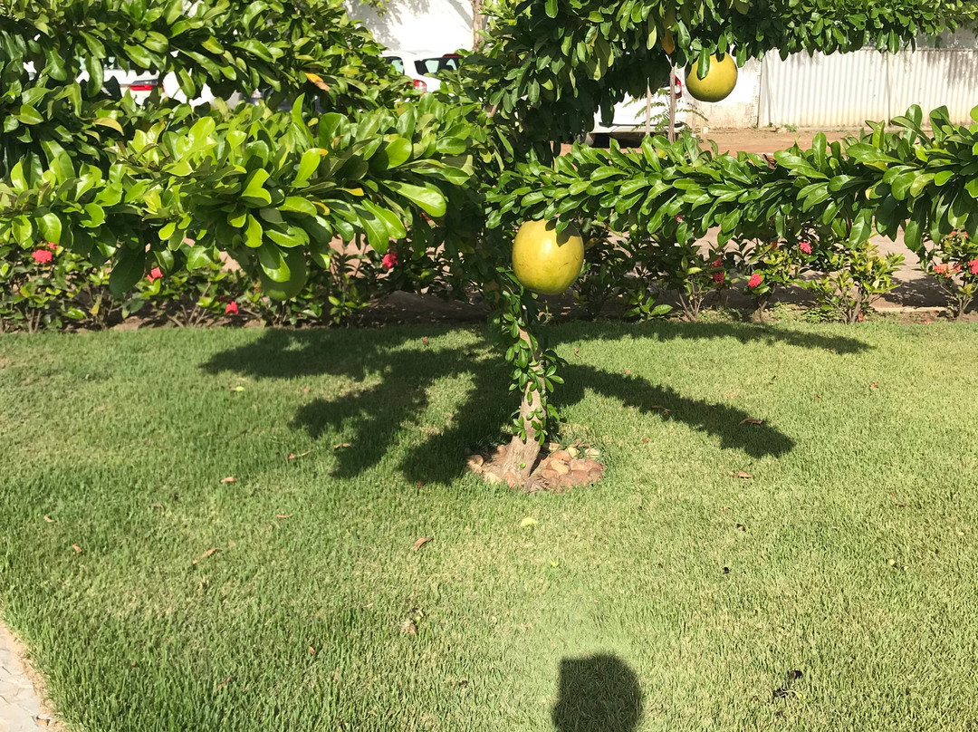 Pontal Beach-Maragogi必去景点