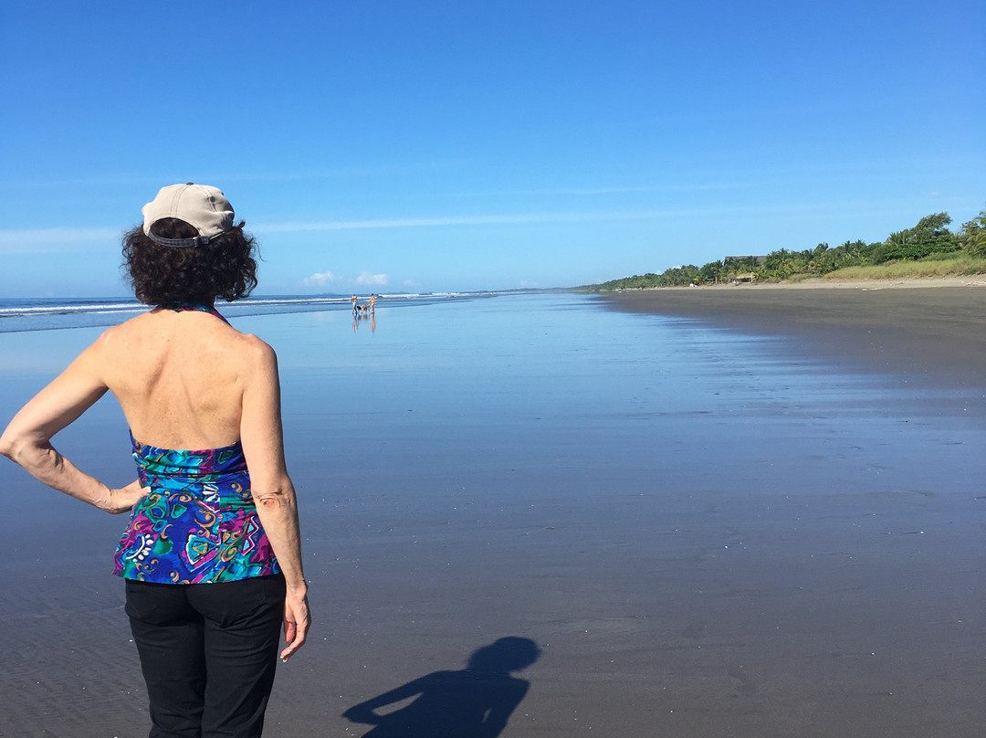 Las Lajas Beach Resort主图