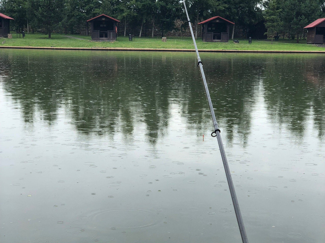 Fishing Club Zolotoi Sazan景点图片