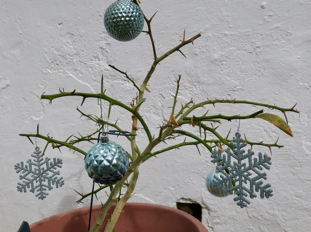 At Home In The Tropics主图