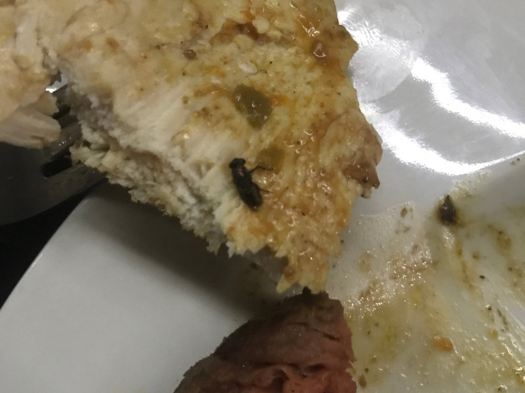 Ecolux Boutique Hotel主图