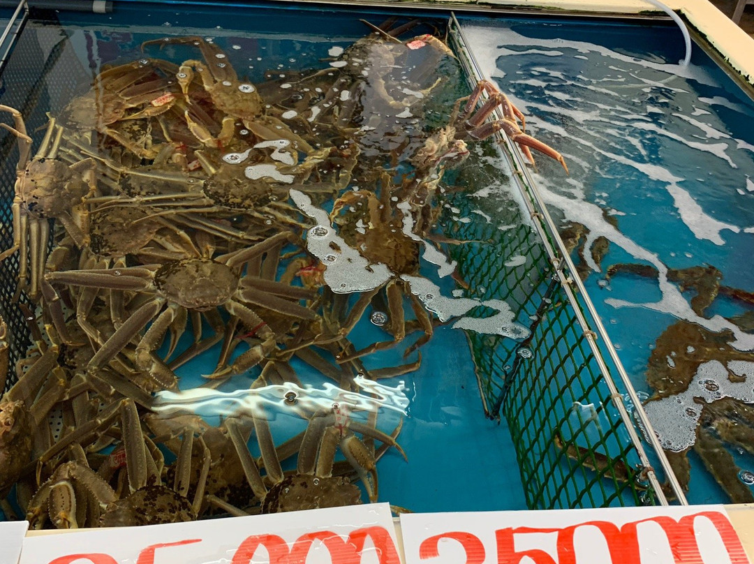Sakai Minato Fish Center-境港市必去景点