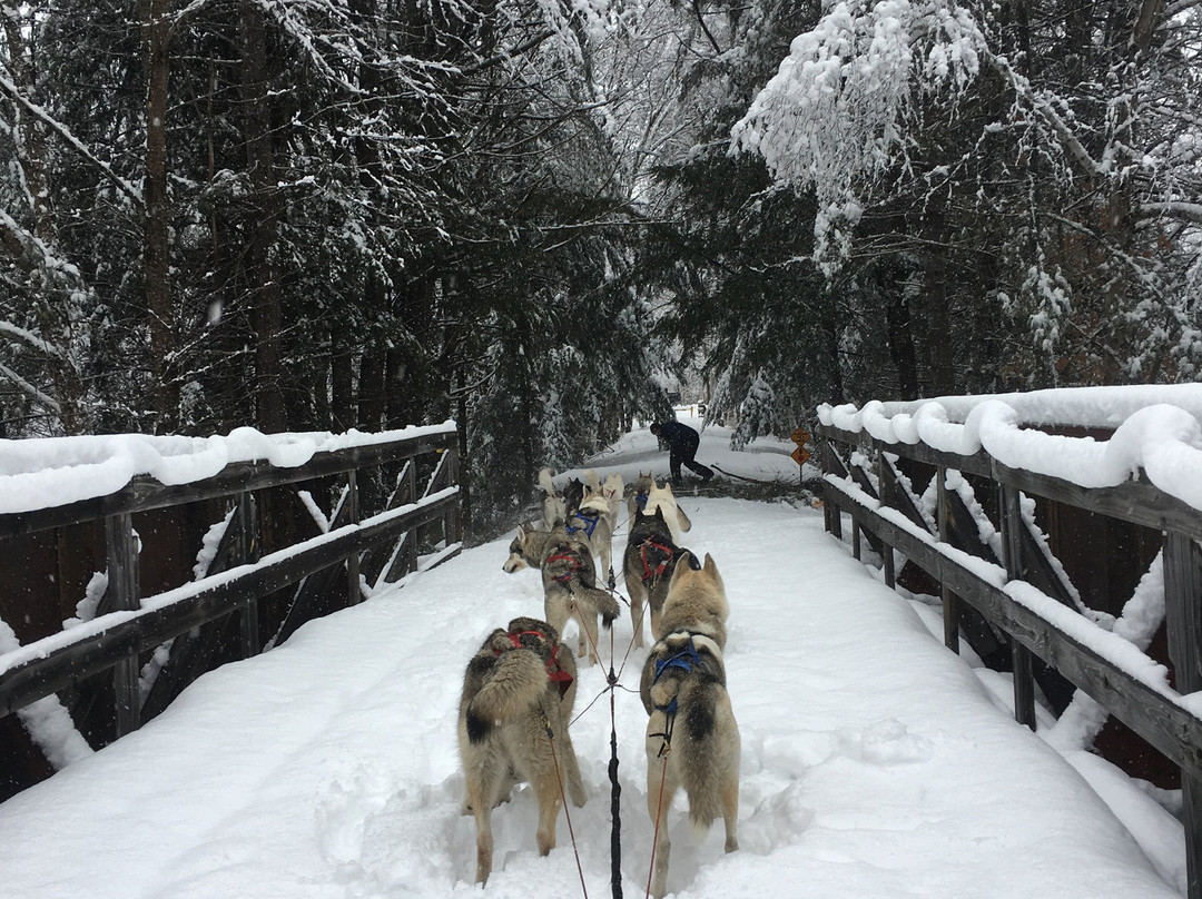 Braeburn Siberians-Windsor必去景点