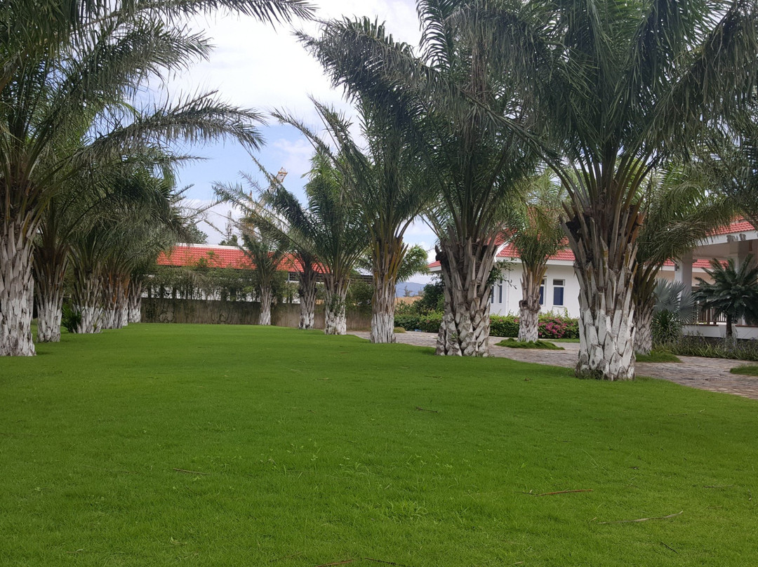 Ninh Thuan Retreat主图