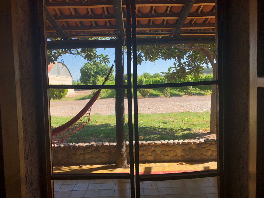 Posada Cavieres Wine Farm主图