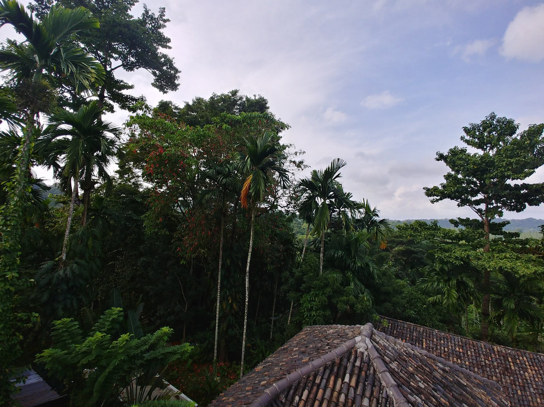 Jalakara Private Villa Hotel主图