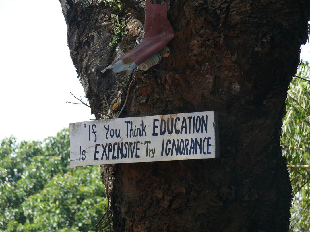 Kilimanjaro Friendship Trail-莫西必去景点