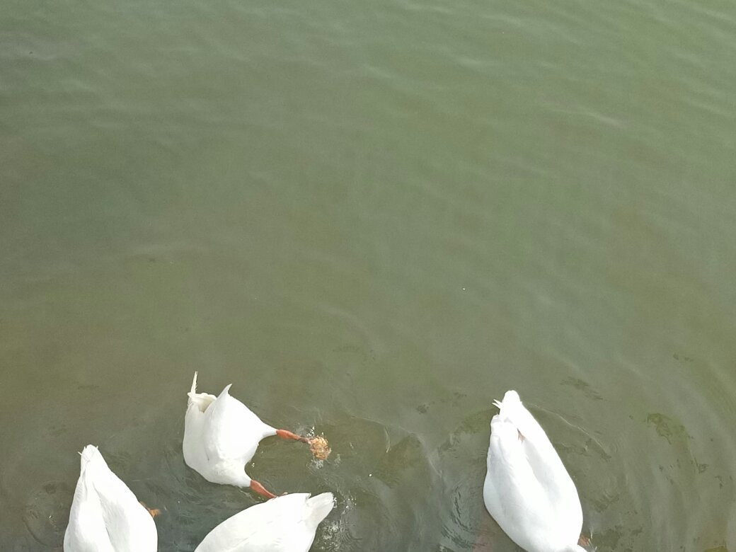 Choral Dam-Mhow必去景点