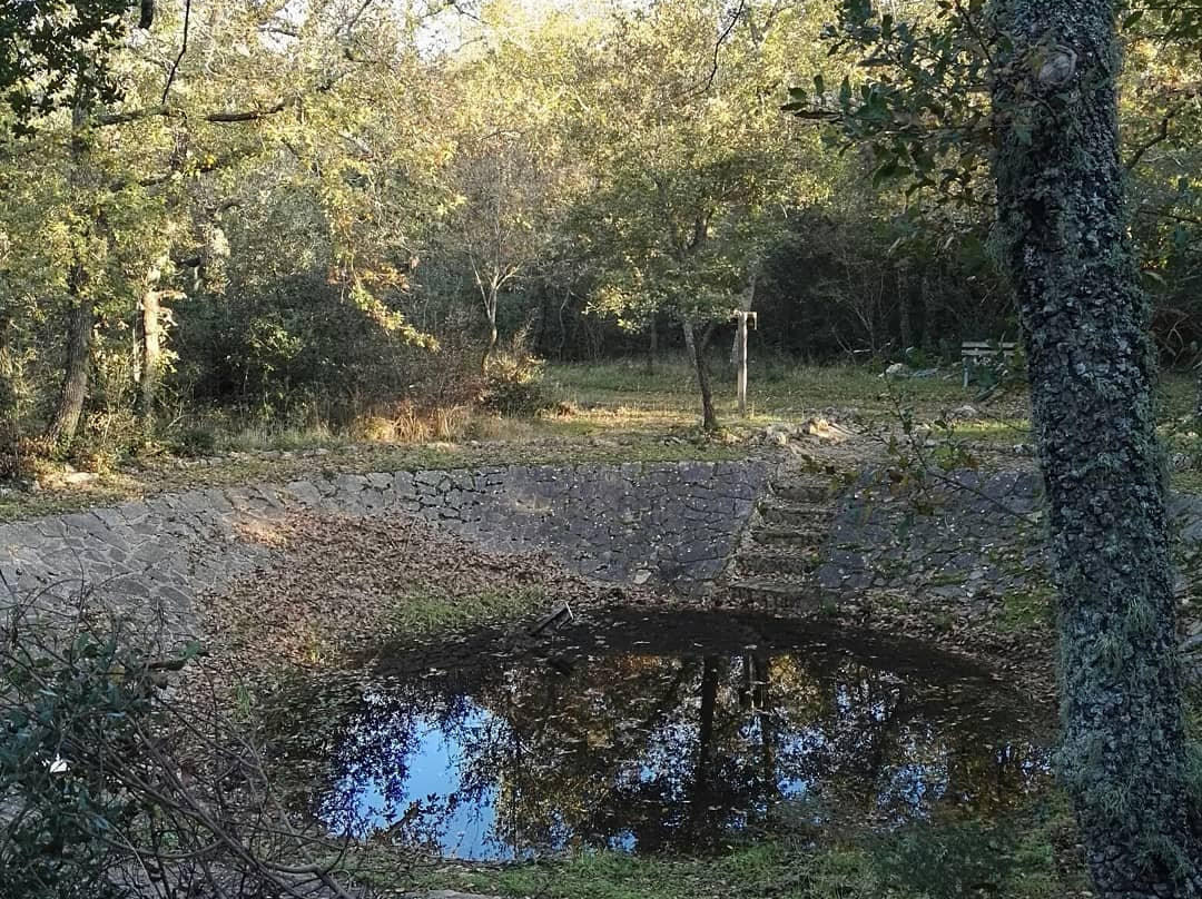Bosco di Sant'Antuono-Mottola必去景点