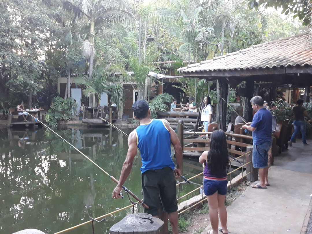 Pesqueiro Ferreira Mel-Pirapozinho必去景点