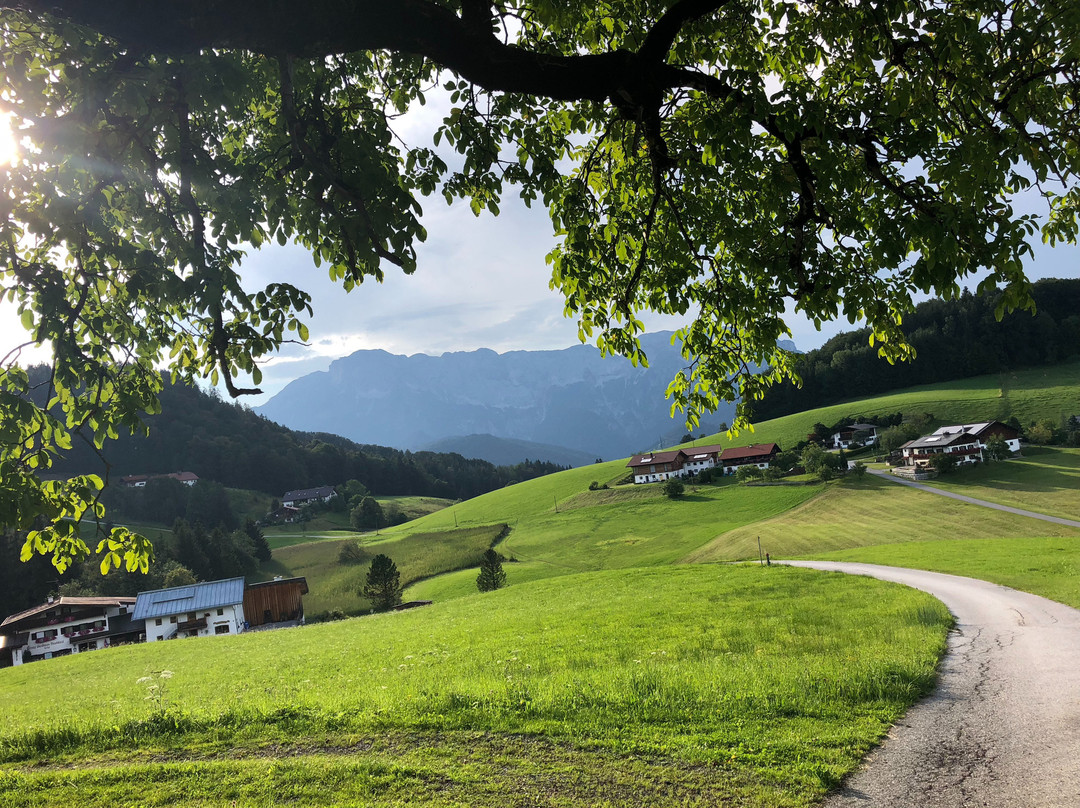 Hochdürrnberg Bed and Breakfast
