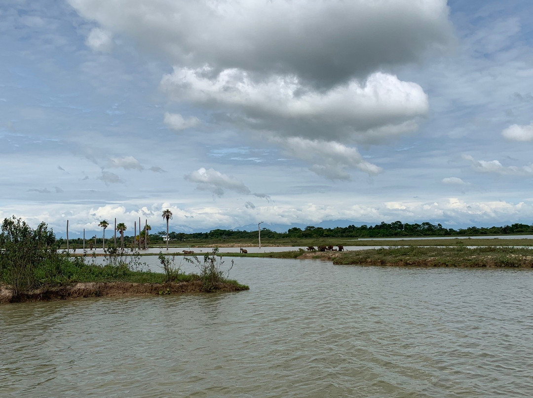 Parque Arawana-比亚维森西奥必去景点