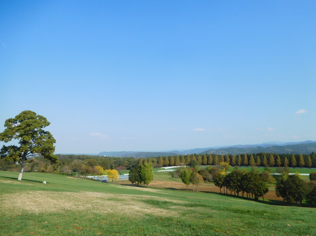 Nasunogahara Farm-太田原市必去景点