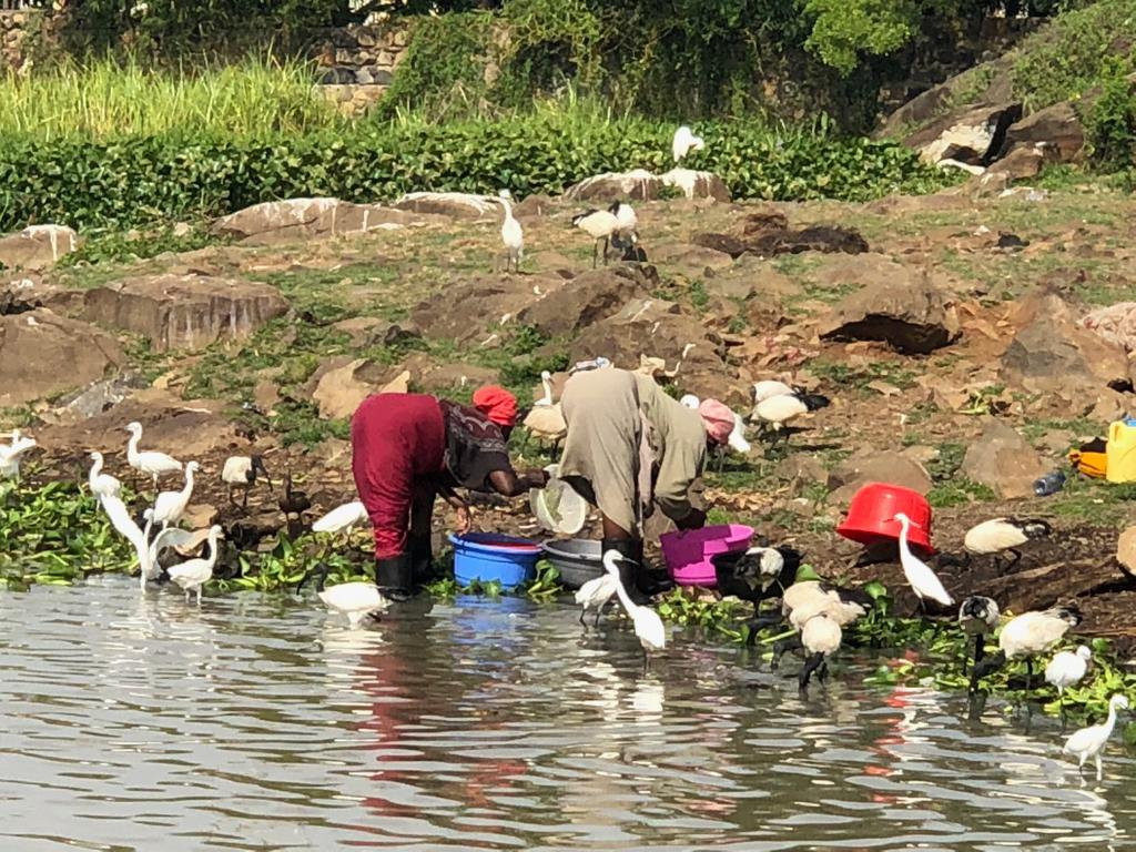 Dunga Bay-基苏木必去景点