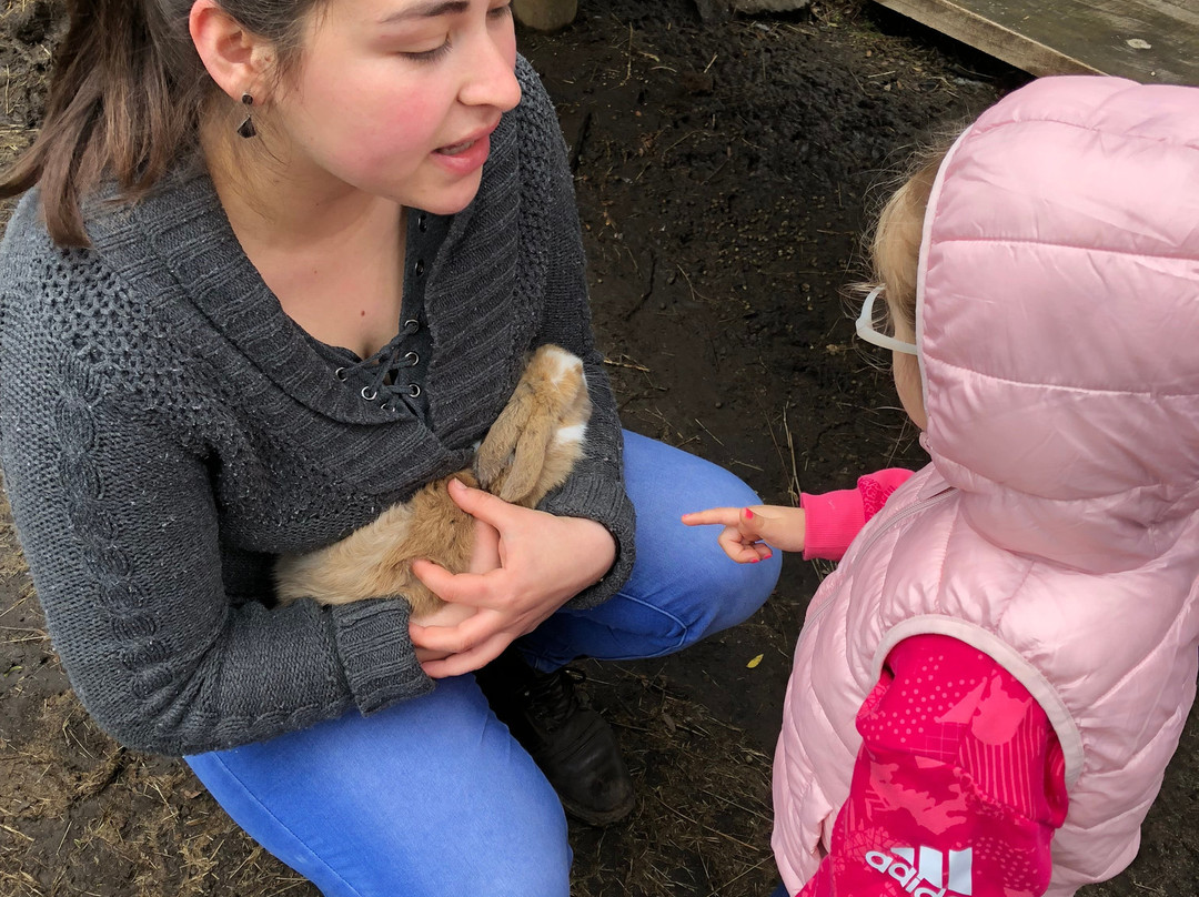 Cabalgatas Don German-普孔必去景点