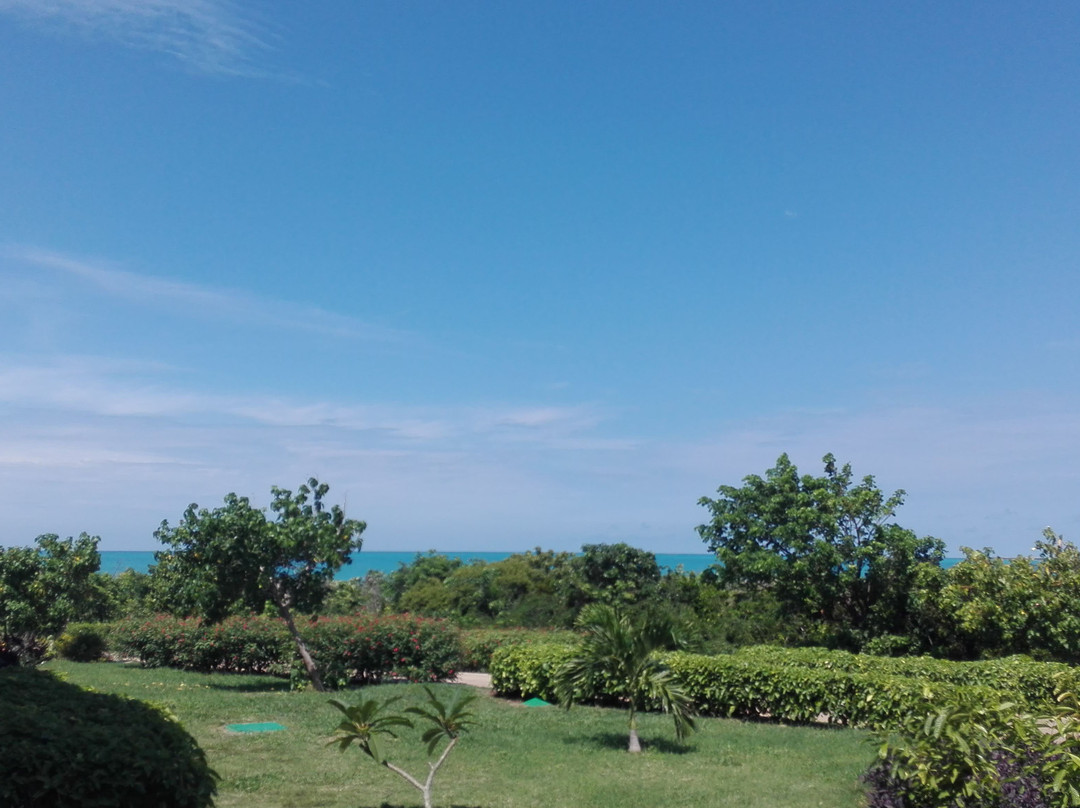 Valentin Perla Blanca主图