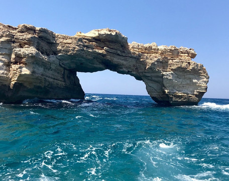 Dolphin Cruises-雷斯蒙必去景点