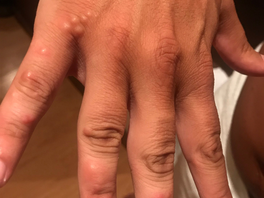 Hotel Villa De Ribadeo主图