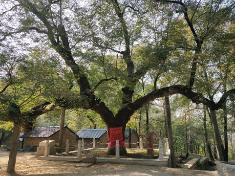 云蒙山国家森林公园-北京市必去景点