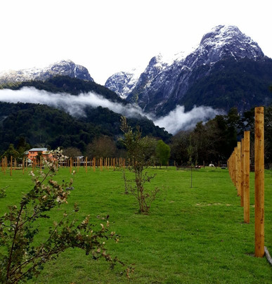 Trasandino Cordillerano - Day Tours-巴拉斯港必去景点