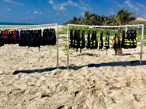 Stephjets Watersports & Tours-弗里波特必去景点