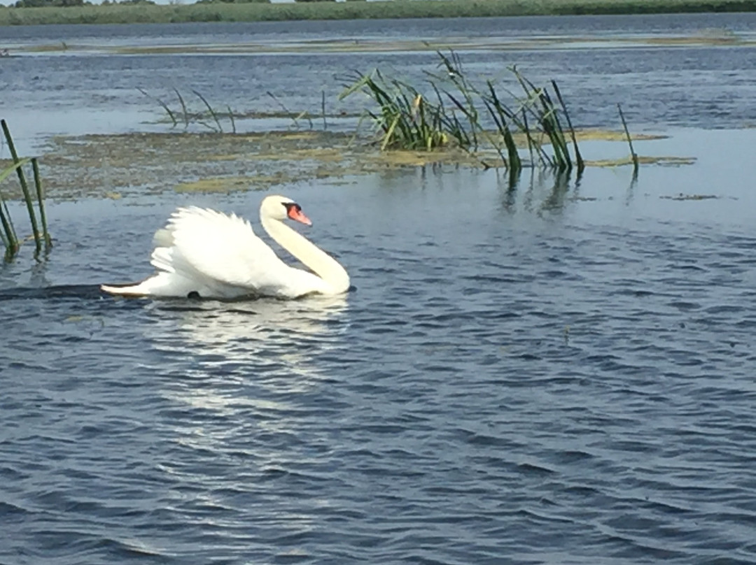 Caspian Sea-阿斯特拉罕必去景点