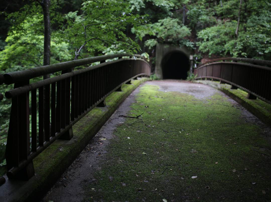 Omika Waterfall-南相木村必去景点