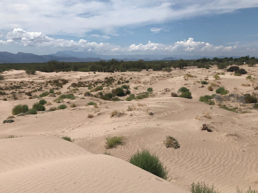 Dunas de Bilbao-Viesca必去景点