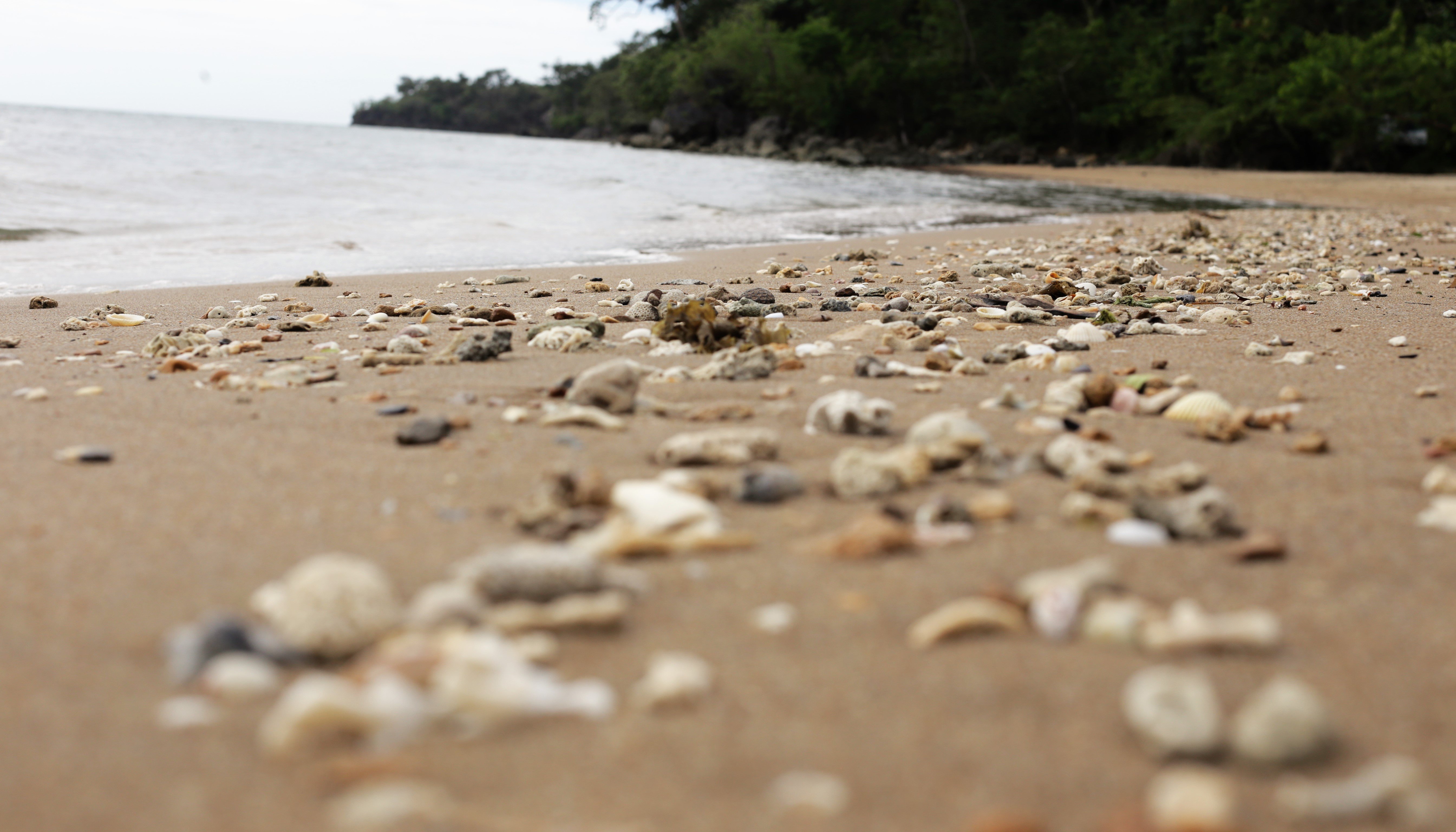 Southdrive Beach Resort-官方