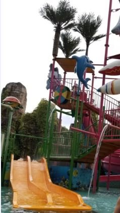 叶园温泉度假酒店-泳池