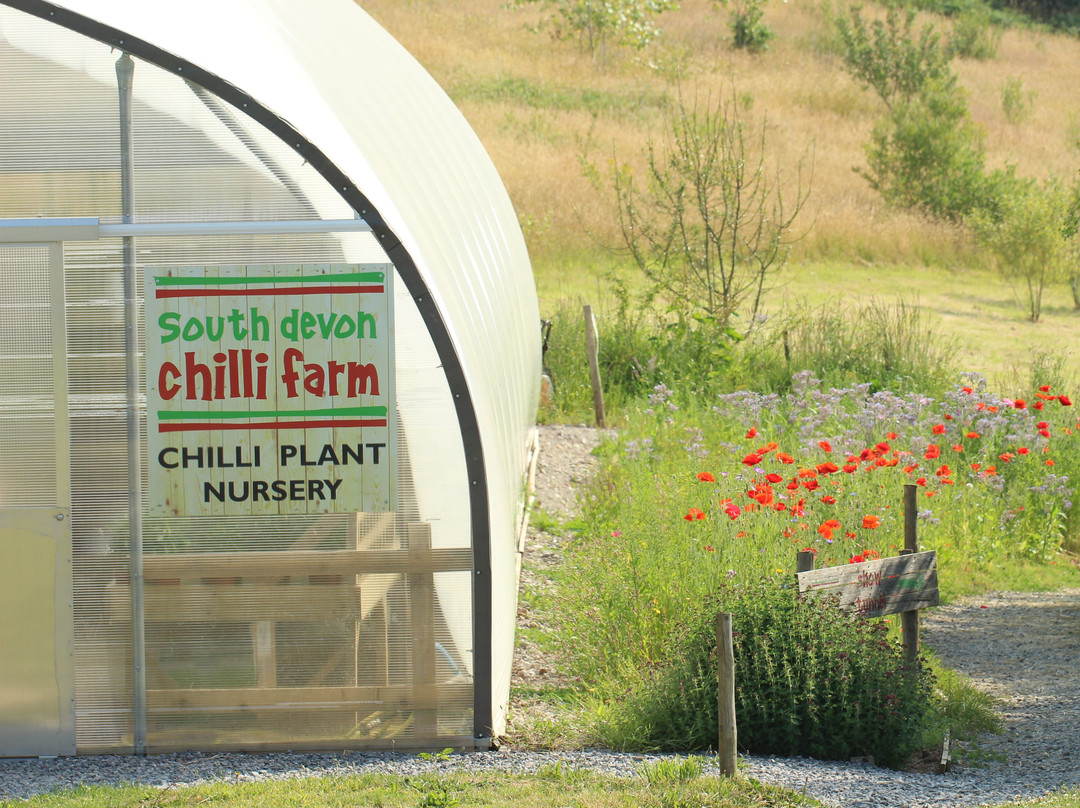 South Devon Chilli Farm-Loddiswell必去景点