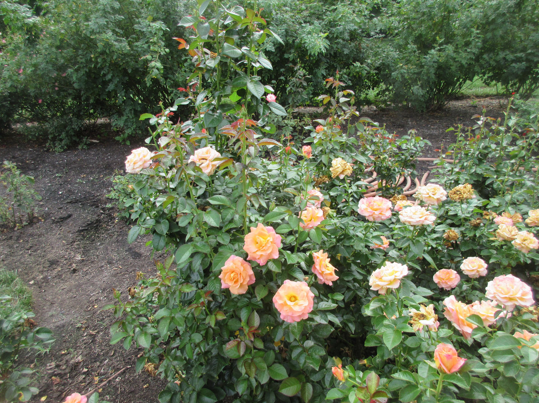 Bon Air Park-阿灵顿必去景点