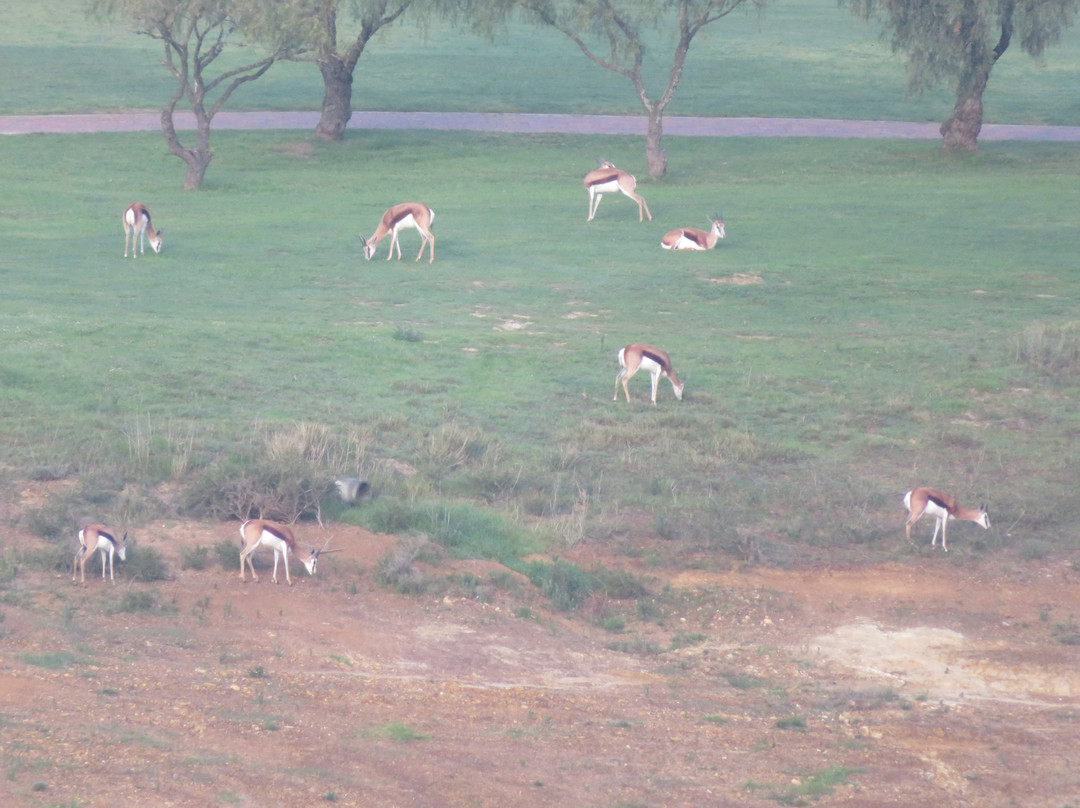 Devonvale Golf & Wine Estate主图