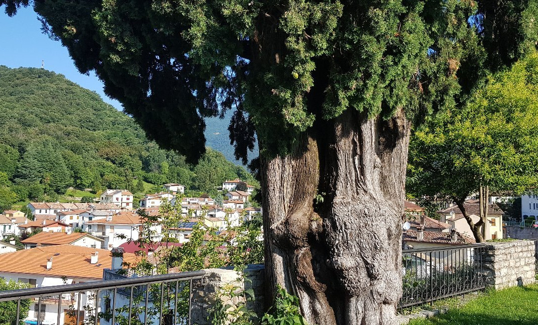 Albergo Ristorante Ai Pini主图