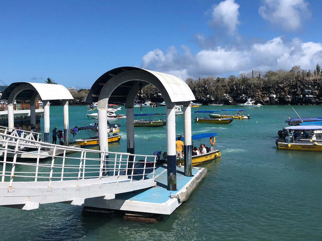 Palo Santo Galapagos Hotel主图
