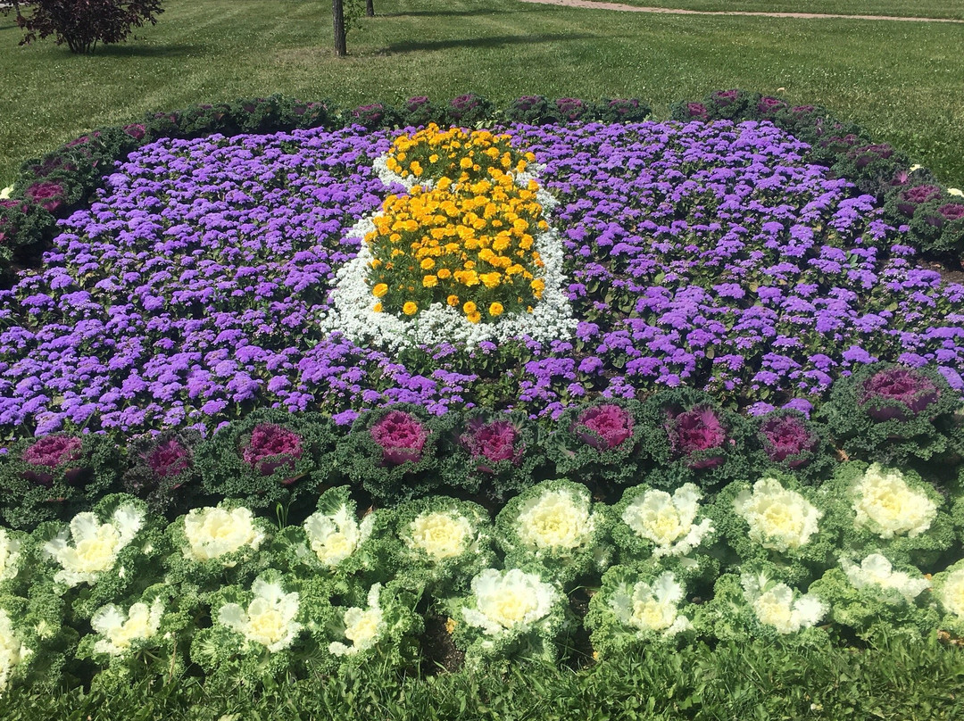 Dawson Creek Art Gallery-Dawson Creek必去景点