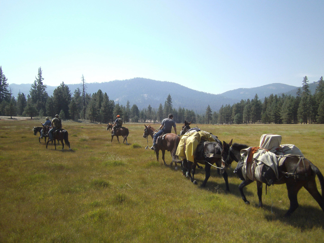Golden Trout Wilderness Packtrains-Springville必去景点